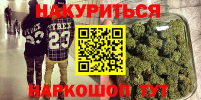 гидра Заводоуковск