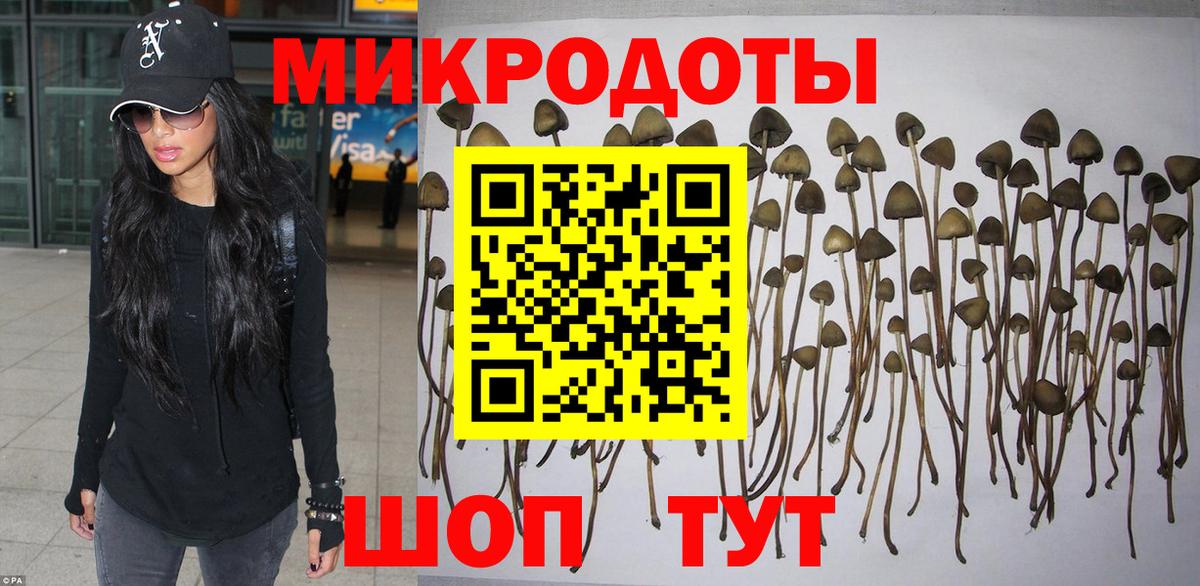 Псилоцибиновые грибы Psilocybine cubensis Усть-Джегута
