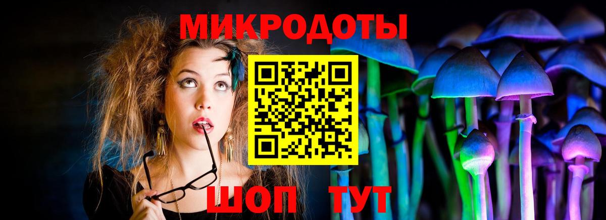 Усть-Джегута  Псилоцибиновые грибы GOLDEN TEACHER  Вход с VPN 